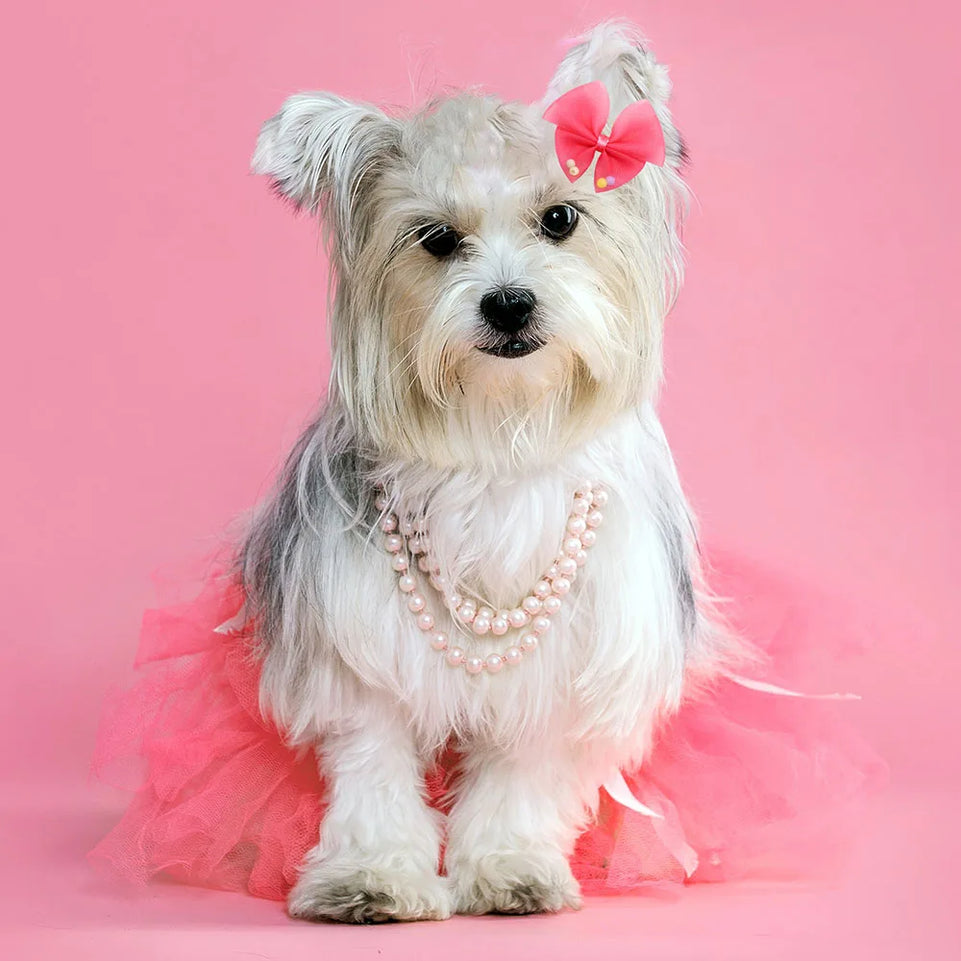 100Pcs Dog Hair Bows Lace Butterfly Grooming Hand-made Puppy Cat Girls Rubber Bands Bows for Dogs Pet Hair Accessories Supplier