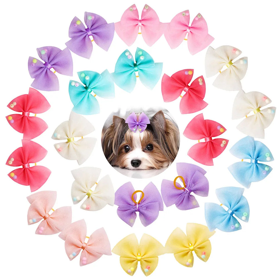 30Pcs Cute Pet Dog Hair Decoration Bows Lace Puppy Cat Girls Rubber Bands Bows for Dogs Pet Hair Grooming Accessories Supplier